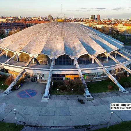 Lucky Seven بوزنان